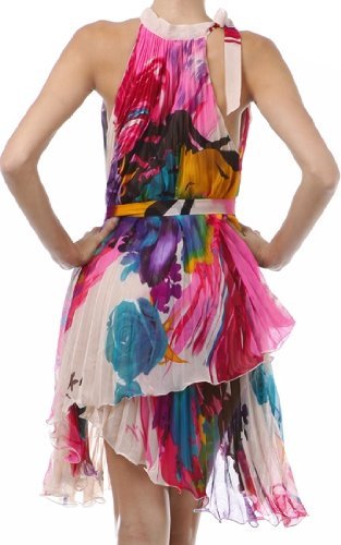 Asymmetrical Hem Pleated Short Sleeveless Dress with Rose Design