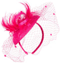 Sakkas Antoinette Feather Fascinator#color_Pink